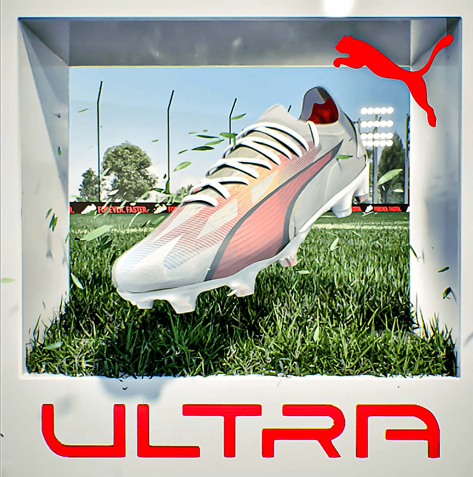 Puma 3